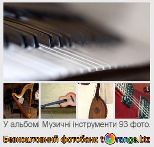 Фотобанк tOrange пропонує безкоштовні фото з розділу:  музичні-інструменти