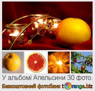 Фотобанк tOrange пропонує безкоштовні фото з розділу:  апельсини