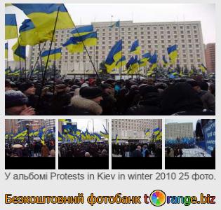 Фотобанк tOrange пропонує безкоштовні фото з розділу:  мітинги-в-києві-взимку-2010