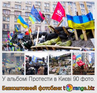 Фотобанк tOrange пропонує безкоштовні фото з розділу:  протести-в-києві