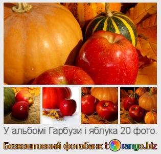 Фотобанк tOrange пропонує безкоштовні фото з розділу:  гарбузи-і-яблука