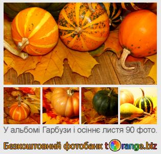 Фотобанк tOrange пропонує безкоштовні фото з розділу:  гарбузи-і-осіннє-листя