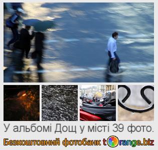 Фотобанк tOrange пропонує безкоштовні фото з розділу:  дощ-у-місті