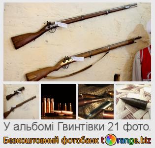 Фотобанк tOrange пропонує безкоштовні фото з розділу:  гвинтівки
