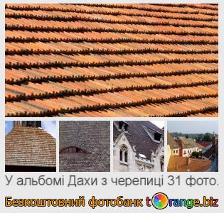 Фотобанк tOrange пропонує безкоштовні фото з розділу:  дахи-з-черепиці