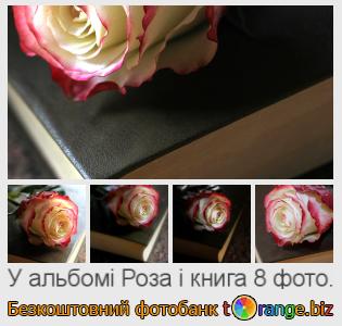 Фотобанк tOrange пропонує безкоштовні фото з розділу:  роза-і-книга