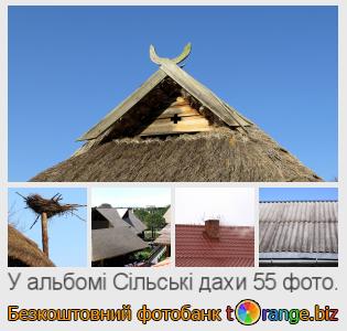 Фотобанк tOrange пропонує безкоштовні фото з розділу:  сільські-дахи