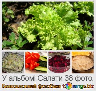 Фотобанк tOrange пропонує безкоштовні фото з розділу:  салати