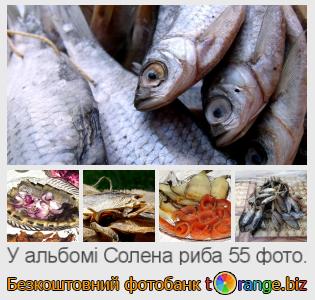 Фотобанк tOrange пропонує безкоштовні фото з розділу:  солена-риба
