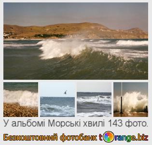 Фотобанк tOrange пропонує безкоштовні фото з розділу:  морські-хвилі