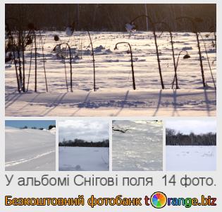 Фотобанк tOrange пропонує безкоштовні фото з розділу:  снігові-поля