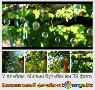 Фотобанк tOrange пропонує безкоштовні фото з розділу:  мильні-бульбашки