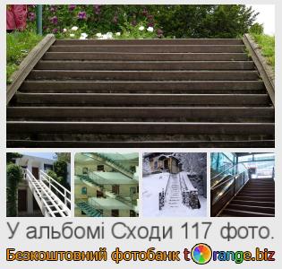 Фотобанк tOrange пропонує безкоштовні фото з розділу:  сходи