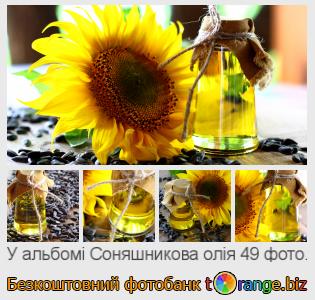 Фотобанк tOrange пропонує безкоштовні фото з розділу:  соняшникова-олія