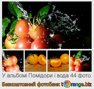 Фотобанк tOrange пропонує безкоштовні фото з розділу:  помідори-і-вода