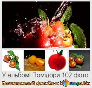 Фотобанк tOrange пропонує безкоштовні фото з розділу:  помідори