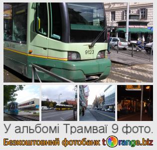 Фотобанк tOrange пропонує безкоштовні фото з розділу:  трамваї