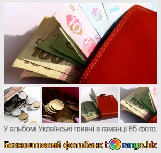 Фотобанк tOrange пропонує безкоштовні фото з розділу:  українські-гривні-в-гаманці