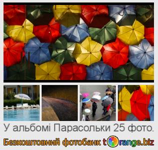 Фотобанк tOrange пропонує безкоштовні фото з розділу:  парасольки