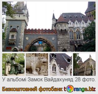 Фотобанк tOrange пропонує безкоштовні фото з розділу:  замок-вайдахуняд