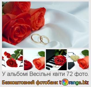 Фотобанк tOrange пропонує безкоштовні фото з розділу:  весільні-квіти