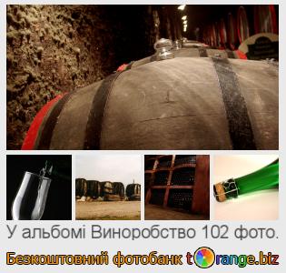 Фотобанк tOrange пропонує безкоштовні фото з розділу:  виноробство