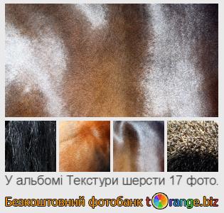 Фотобанк tOrange пропонує безкоштовні фото з розділу:  текстури-шерсти