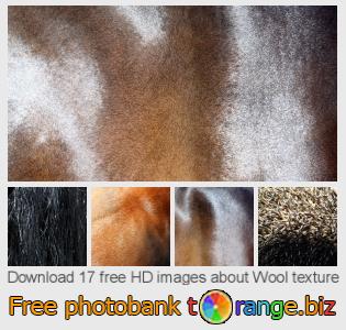 images free photo bank tOrange offers free photos from the section:  wool-texture