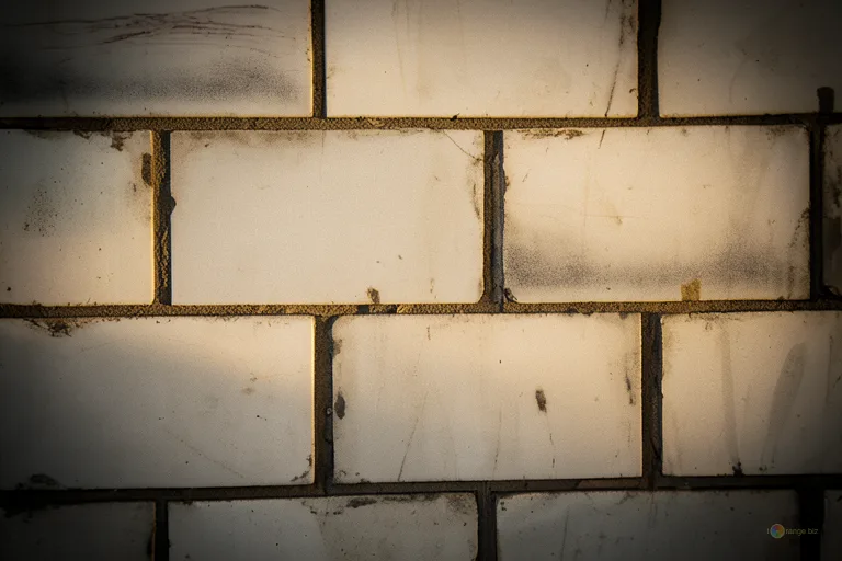 Відреставрована люксова версія  壁 の 大きい 泡 №818