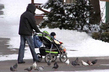 Walks with the baby in the stroller in the winter №838