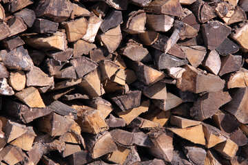 Firewood №502
