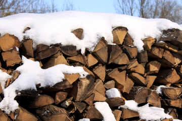 Polenitsa firewood in the snow №498