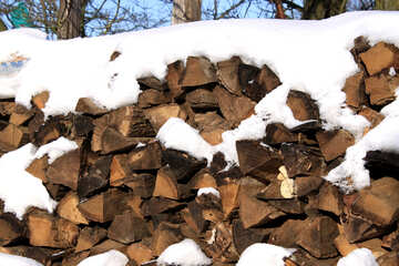 Firewood  winter   snow №499