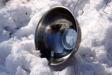 Empty metal bowl in the snow №693