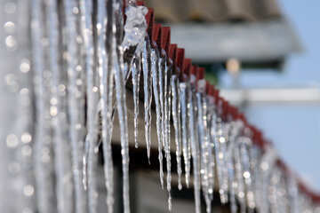 Icicles  №487