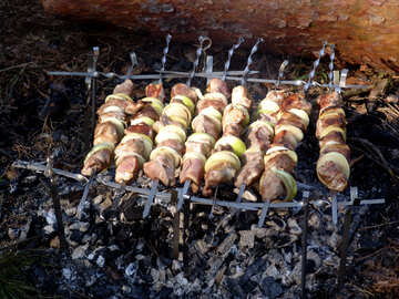 Brochette fried on makeshift barbecue skewers from pine forest №456