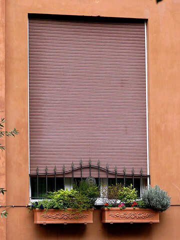 Римське старе вікно з квітами жалюзями і кованою решіткою №319