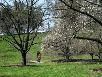  Madre e hijo caminan por el parque con magnolias con flores  №586