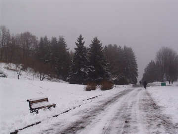 La senda en el parque en invierno №400