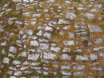  por carretera de piedra cubierto de hierba  №356