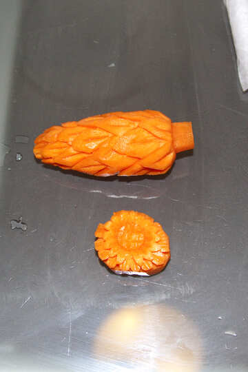 Und Sonnenhut Carrot №837