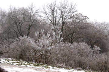 El paisaje invernal №429