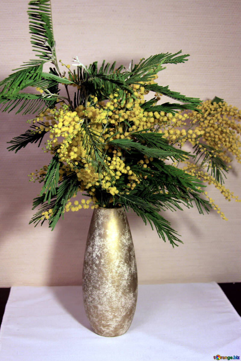 Mimosen Strauß in eine Vase №953