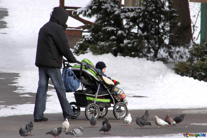  Padre camina con su bebé en el cochecito en el invierno  №838