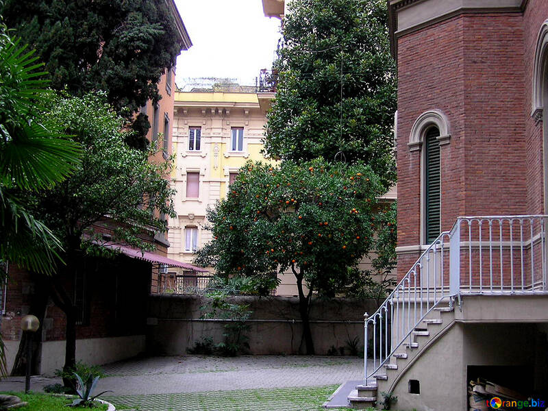  patio acogedor italiano con una escalera de azulejos verdes palmeras  №329