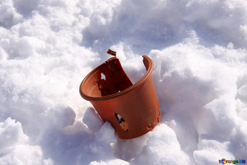 Plastic flowerpot pogryzanny dogs in the snow №725