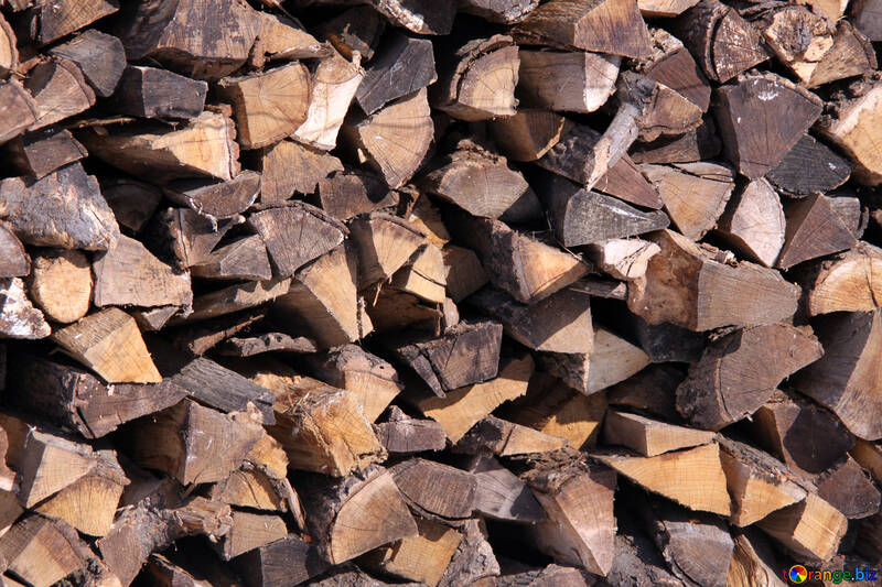 Firewood №502