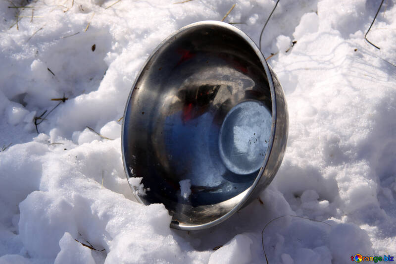 Empty metal bowl in the snow №693