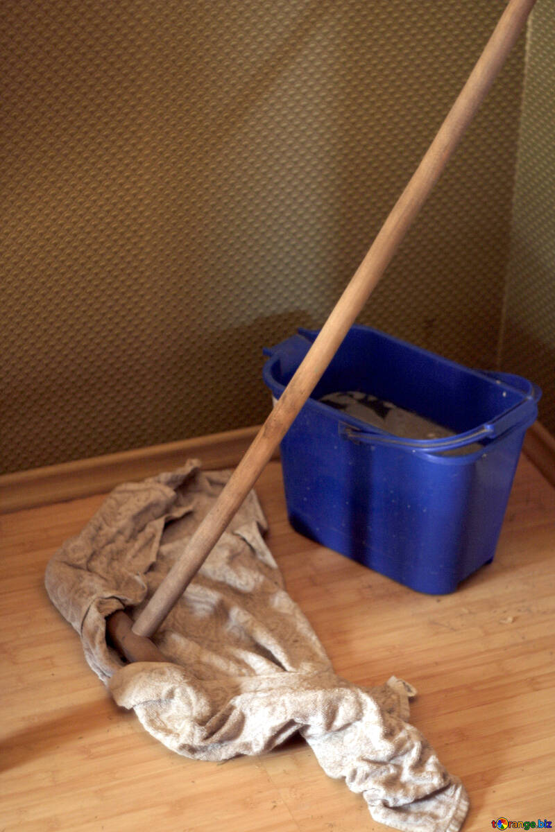 Mop and bucket №796