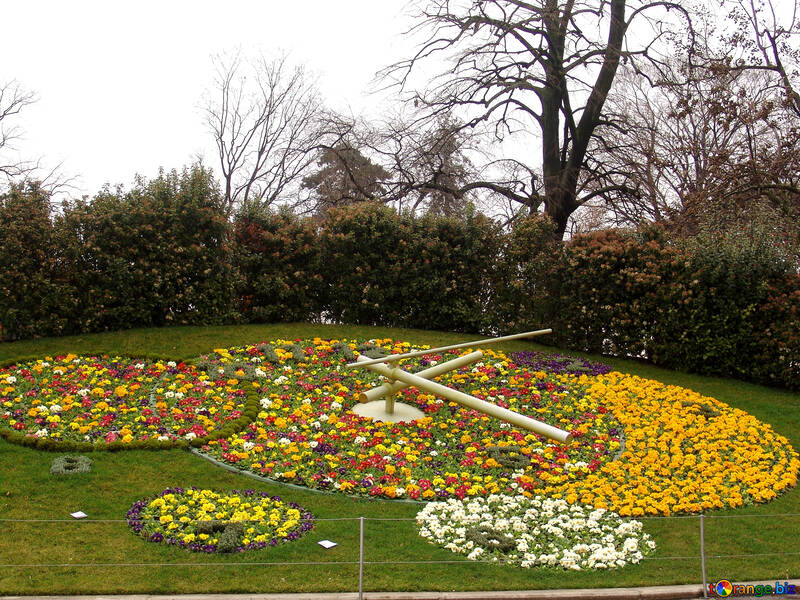 Flower bed with clock on the lawn. №391